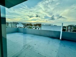 Lim Tua Tow Road (D19), Terrace #514574521